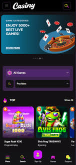 Discover the Fun of Online Gambling with Casiny App